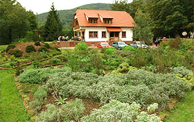 Kräutergarten beim Kräutercafé